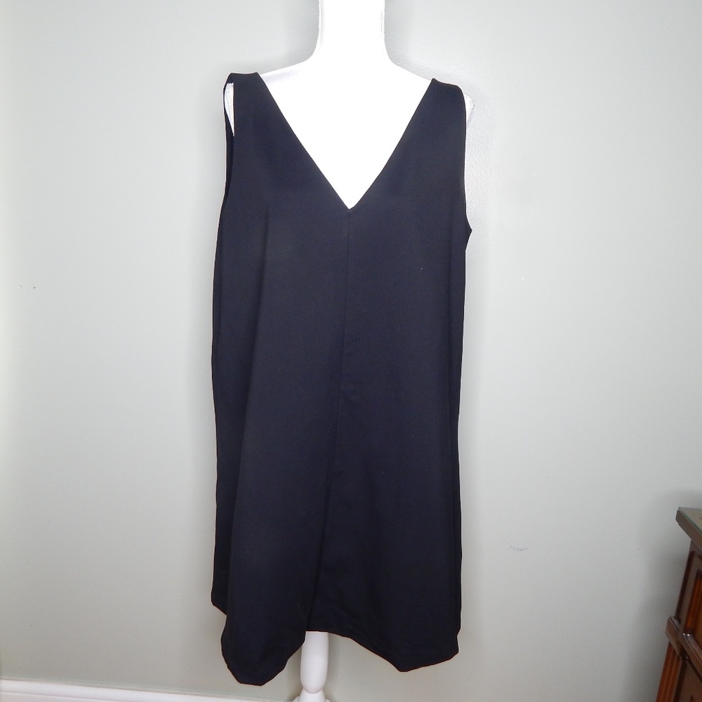 Everlane Black V-Neck Dress